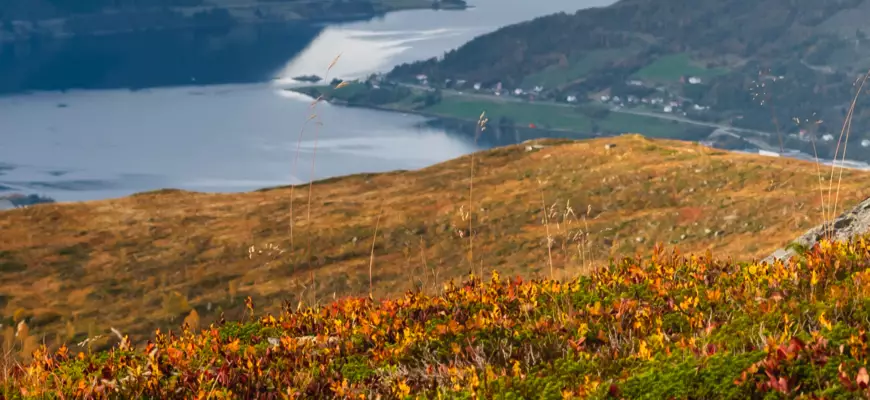 Luotettavaa suomalaista asiakaspalvelua 102