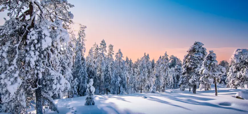 Hae yritystunnuksia 103