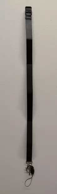 Kongressitaskun kaulanauha BNT - Nimikortit, kongressineulat, kaulanauhat - 127200 - 3