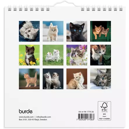 Seinäkalenteri 2026 Kissanpennut - Seinäkalenterit - 398090 - 1