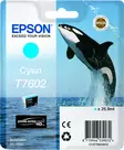 Epson SC-P600 cyan 25.9ml - Epson mustesuihkupatruunat - T76024010 - 1