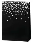 Winteria Lahjakassi 310 x 120 x 440mm Hopea Sade -lajitelma (6+6)12kpl - Lahjapakkaaminen - 332740 - 2