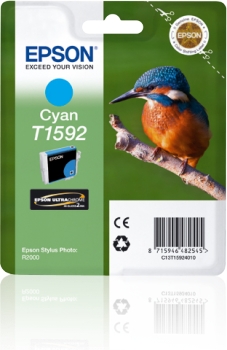 Epson Cyan St Photo R2000 - Epson mustesuihkupatruunat - T15924010 - 1