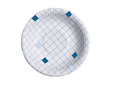 Kertakäyttöastia siniruutu lautanen 350ml/50 - Kertakäyttöastiat - 279502 - 1