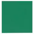 Lautasliina Gastro 24x24 2krs vihreä /100kpl - Lautasliinat, Servetit - 394842 - 1