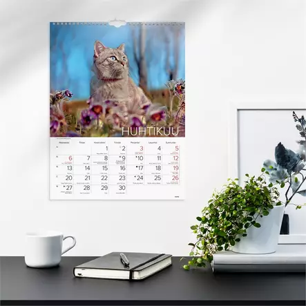Seinäkalenteri 2026 Kissat - Seinäkalenterit - 398093 - 2