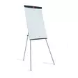Lehtiötauluteline Basic Nobo WB lakka - Infotaskut, julistekehykset - 1905243 - 1
