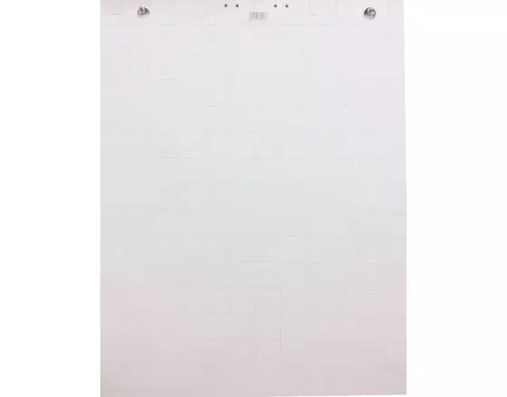 Luentotaululehtiö 60x85cm ruudutus 5x5cm 50 arkkia - Lasi,valko,pellava,korkki,fläppi,-taulut - 62113 - 1