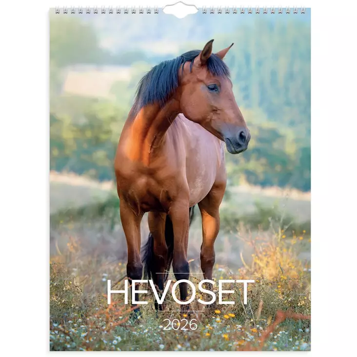Seinäkalenteri 2026 Hevoset - Seinäkalenterit - 398094 - 1