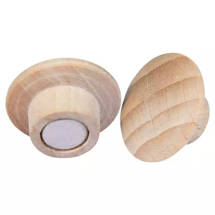 Legamaster puinen magneetti 25mm, 1 kpl=5 magneettia - Taulutarvikkeet - 7-181725 - 2