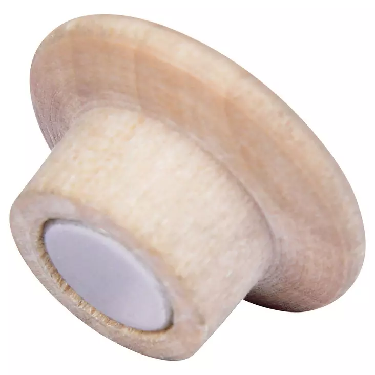 Legamaster puinen magneetti 25mm, 1 kpl=5 magneettia - Taulutarvikkeet - 7-181725 - 1