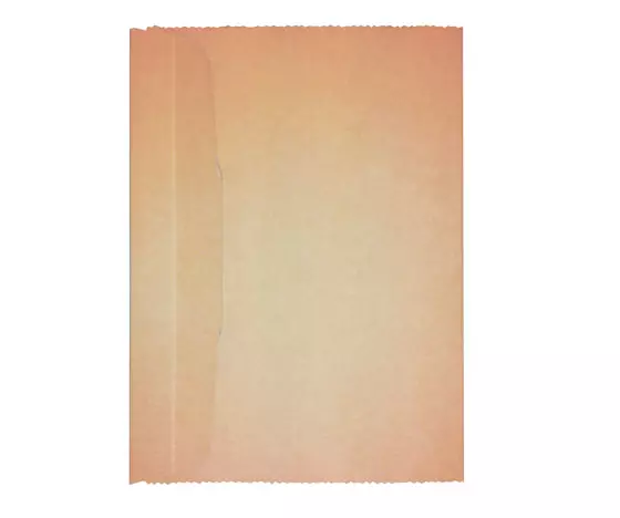 PIIRUSTUSTEN SÄILYTYSKANSIO A3 - Kansiot - 66365 - 1