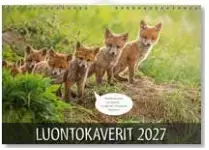 Seinäkalenteri 2027 Luontokaverit - Seinäkalenterit - 10195 - 1