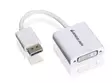 DisplayPort to DVI - USB-tuotteet - GDPDVIW6 - 1