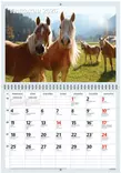 Ajasto Hevoset 2026 seinäkalenteri 290 x 420mm - Seinäkalenterit - 2670304026 - 2