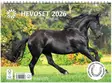 Ajasto Hevoset 2026 seinäkalenteri 290 x 420mm - Seinäkalenterit - 2670304026 - 1