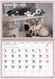 Ajasto Kissat 2026 seinäkalenteri 290 x 420mm - Seinäkalenterit - 2670305026 - 2