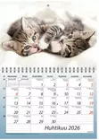Ajasto Kisut 2026 seinäkalenteri A5 210 x 148mm - Seinäkalenterit - 2670330226 - 2