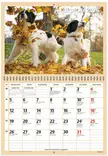Ajasto Koirat 2026 seinäkalenteri 290 x 420mm - Seinäkalenterit - 2670307026 - 2