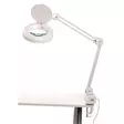 Suurennuslasivalaisin ALCO 9110 valkoinen - Työpistevalaisimet - 605446 - 1
