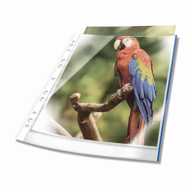 Kansiotasku PREMIUM A4 sinisellä tunnisteraidalla 25kpl - Kansiotaskut - 265506 - 1