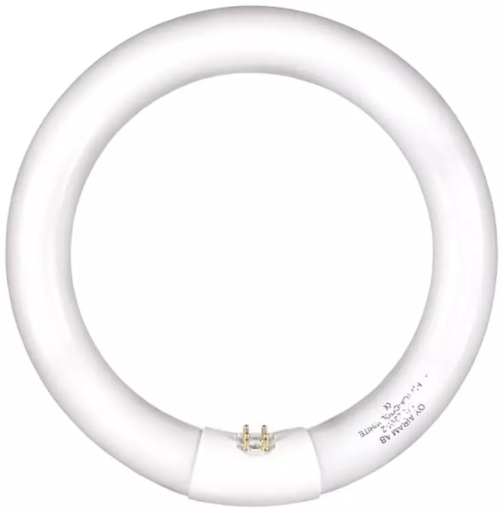 Rengasloistelamppu Airam 40W/840 G10Q T9 - Valaisintarvikkeet, lamput - 14436 - 1