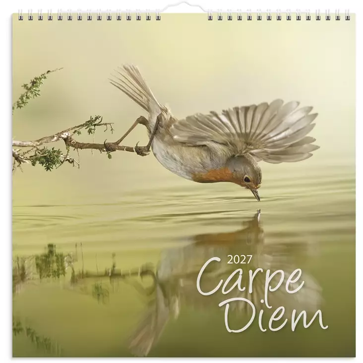 Seinäkalenteri 2027 Carpe Diem - Seinäkalenterit - 10196 - 1