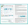 Säävuosi 2027 - Pöytäkalenterit - 2676224027 - 2
