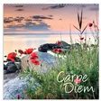 Seinäkalenteri 2026 Carpe Diem - Seinäkalenterit - 398099 - 1