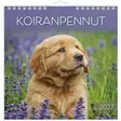 Seinäkalenteri 2027 Koiranpennut - Seinäkalenterit - 10189 - 1
