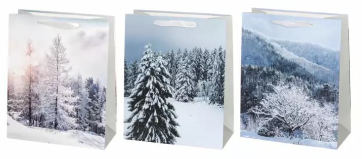 Lahjakassi 26x32/10cm WINTERIA - Lahjapakkaaminen - 169099 - 1