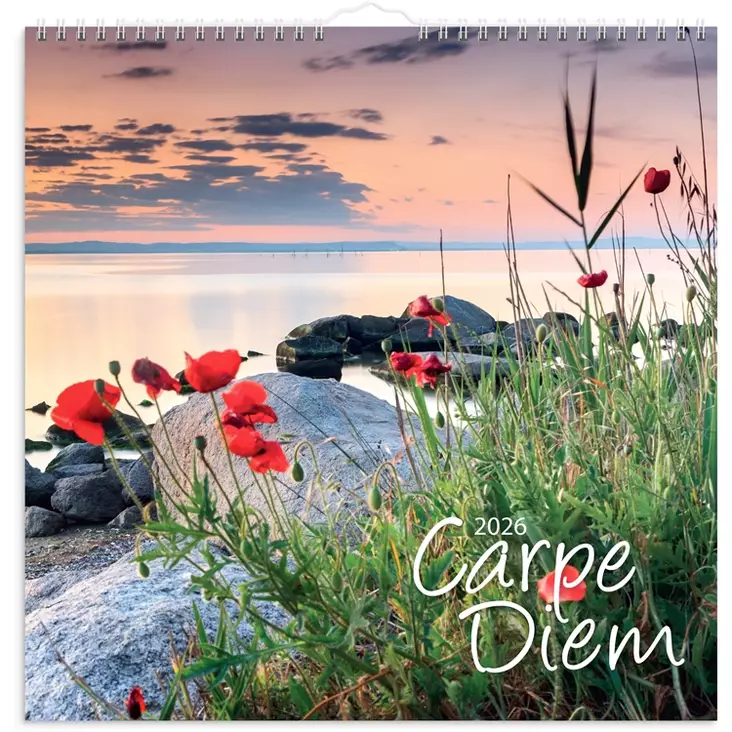 Seinäkalenteri 2026 Carpe Diem - Seinäkalenterit - 398099 - 1