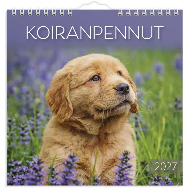 Seinäkalenteri 2027 Koiranpennut - Seinäkalenterit - 10189 - 1